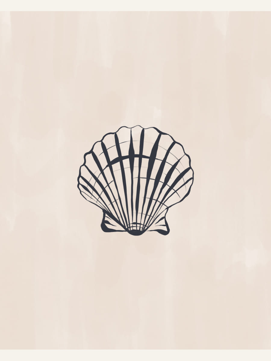 Seashell Poster – plakat og kunsttryk