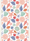 Seashells and Starfish - White Poster – poster and art print