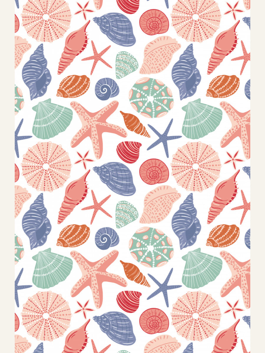 Seashells and Starfish - White Poster – poster and art print