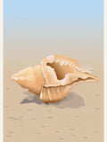 Seaside Shell Poster – poster och konsttryck