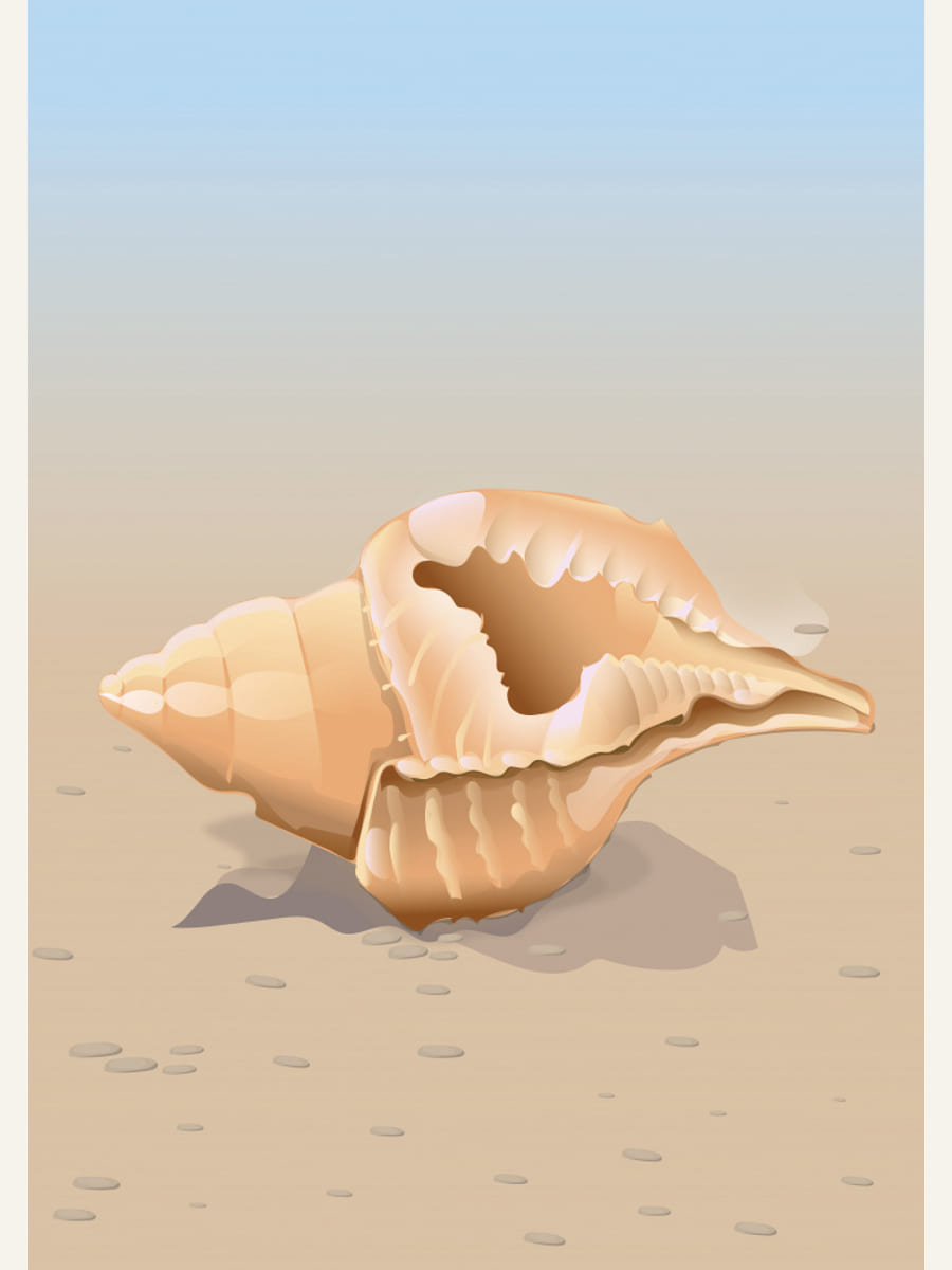 Seaside Shell Poster – poster och konsttryck