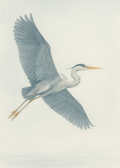 Poster print file
