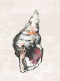 Plakat Shell Collector Art Print No 2 – plakat i druk artystyczny
