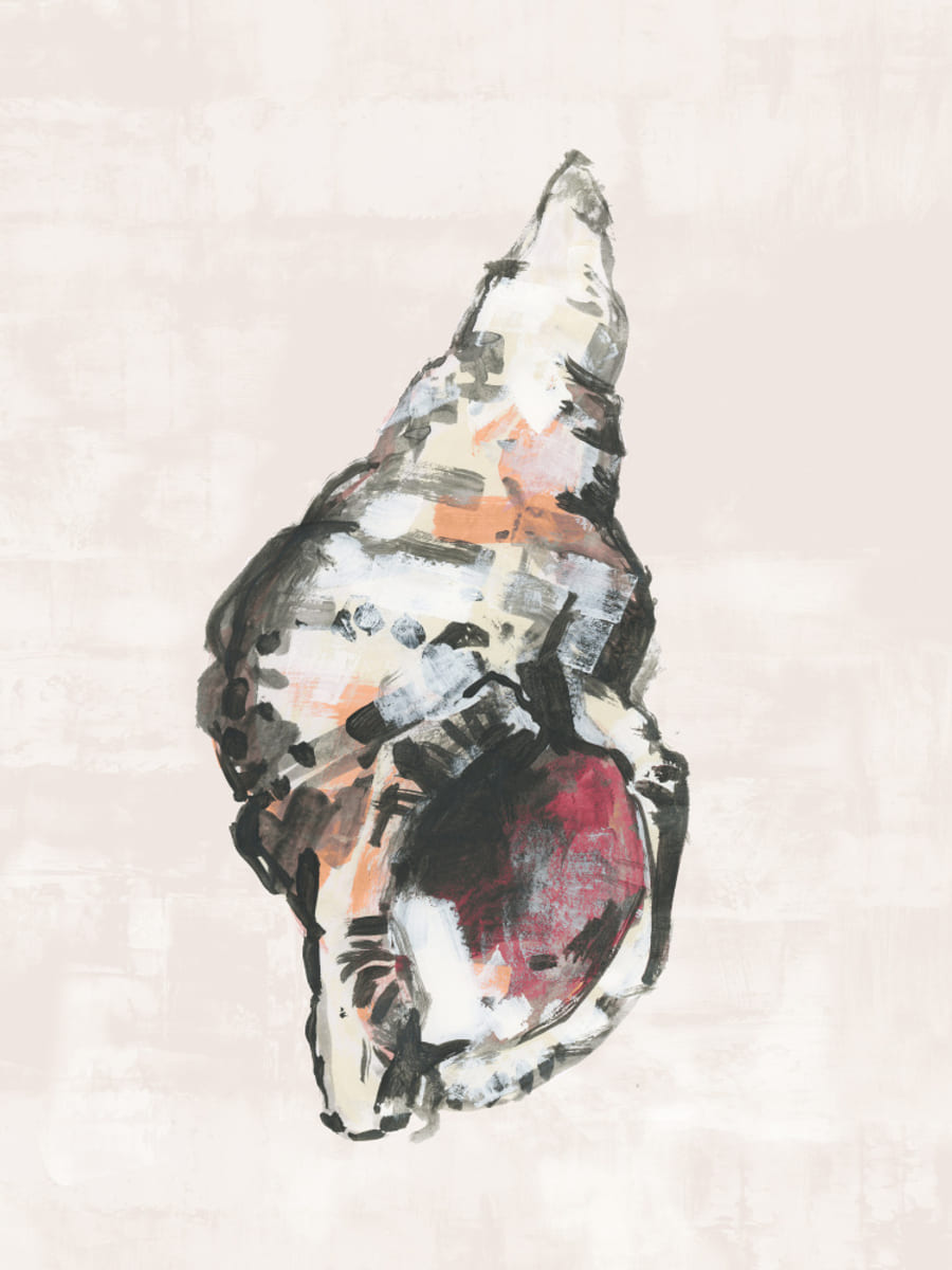 Plakat Shell Collector Art Print No 2 – plakat i druk artystyczny