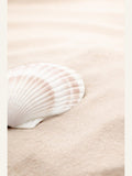 Poster Shell_3 – poster e stampa artistica