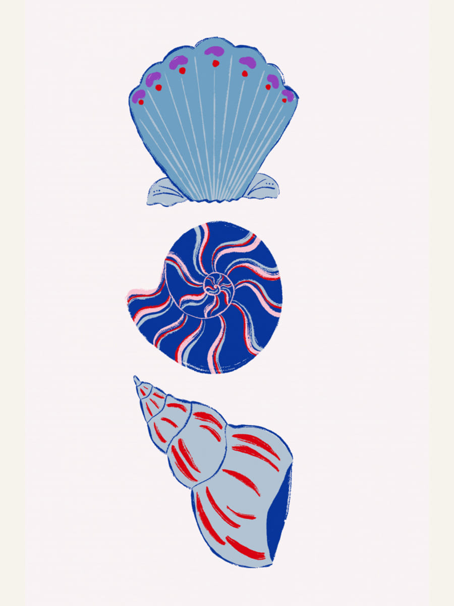 Shells Poster – plakat og kunsttryk