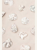 Shells_2 Poster – Poster und Kunstdruck