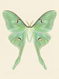 Poster print