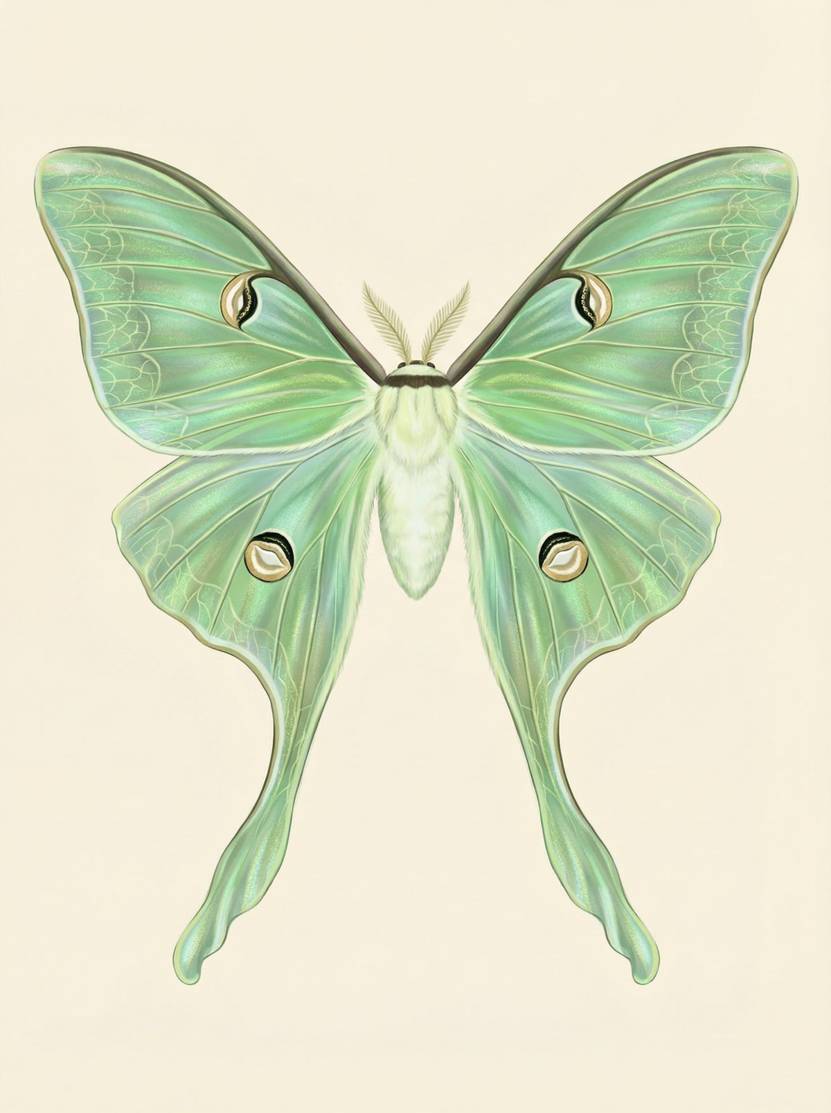 Poster print