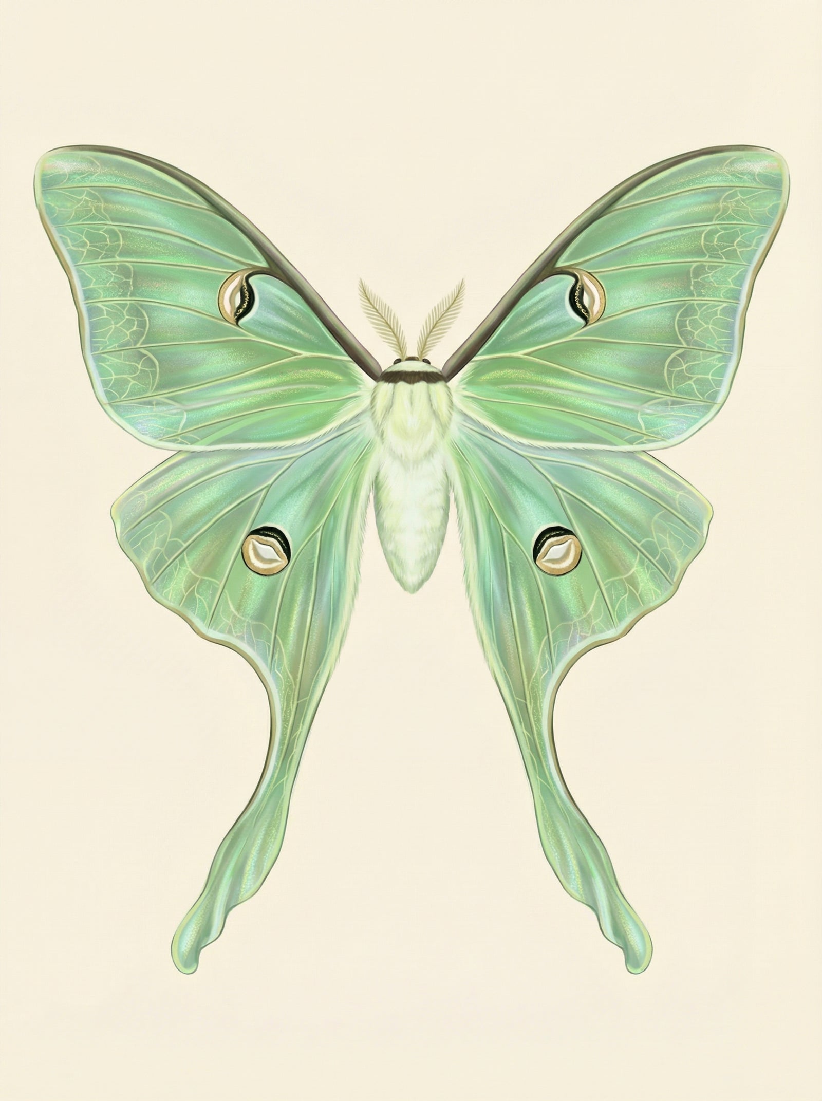 Poster print