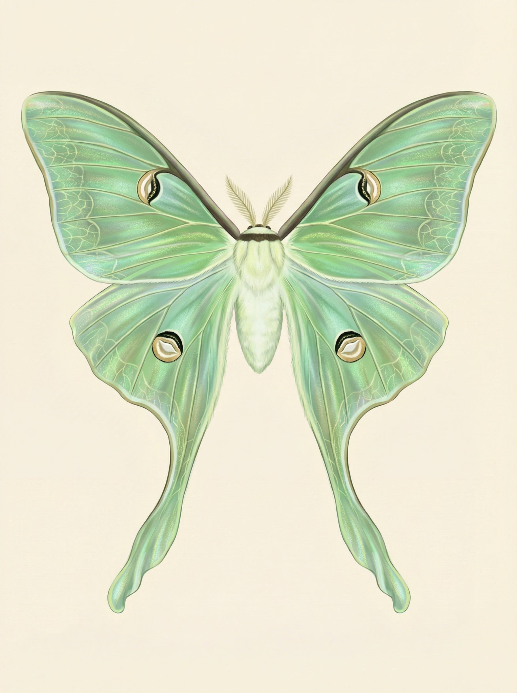 Poster print