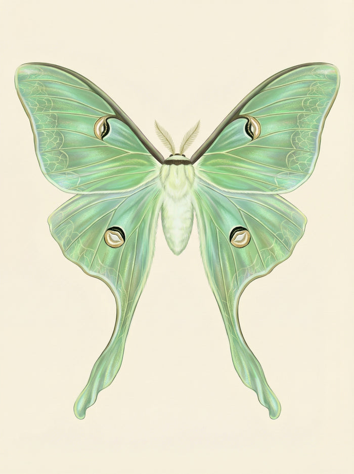 Poster print