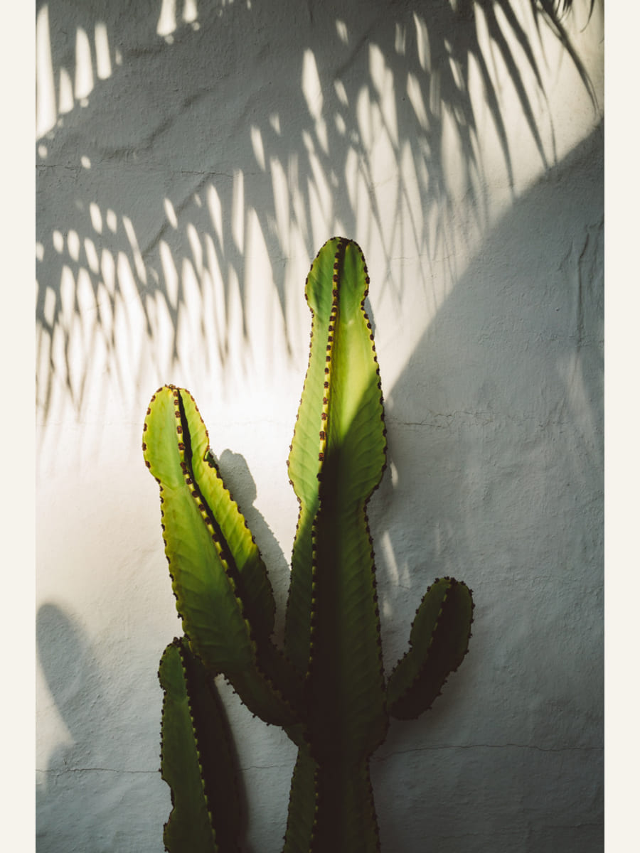 Poster print