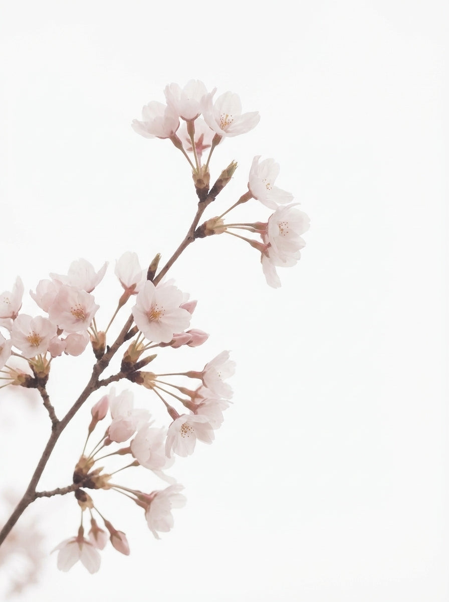 Poster print file