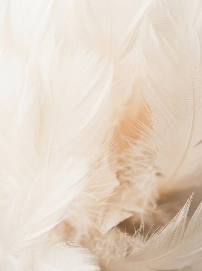 Poster print file