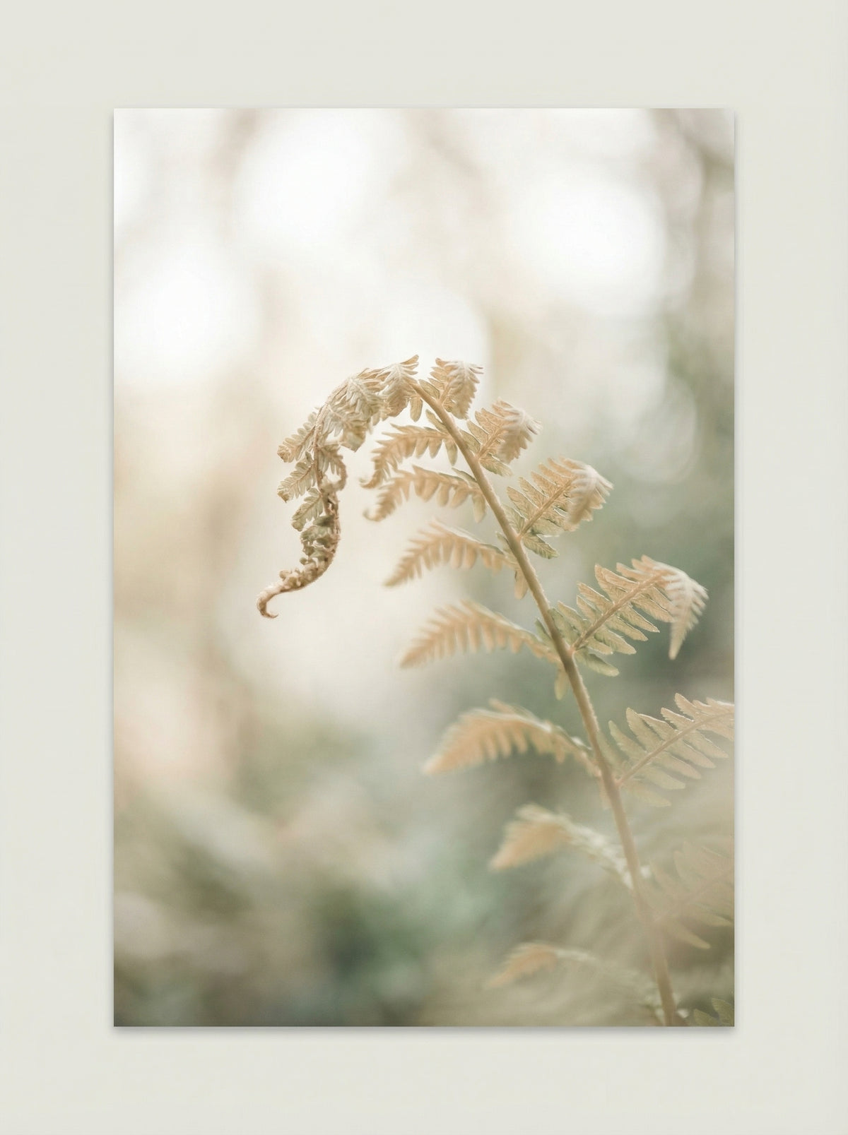 Poster in black frame