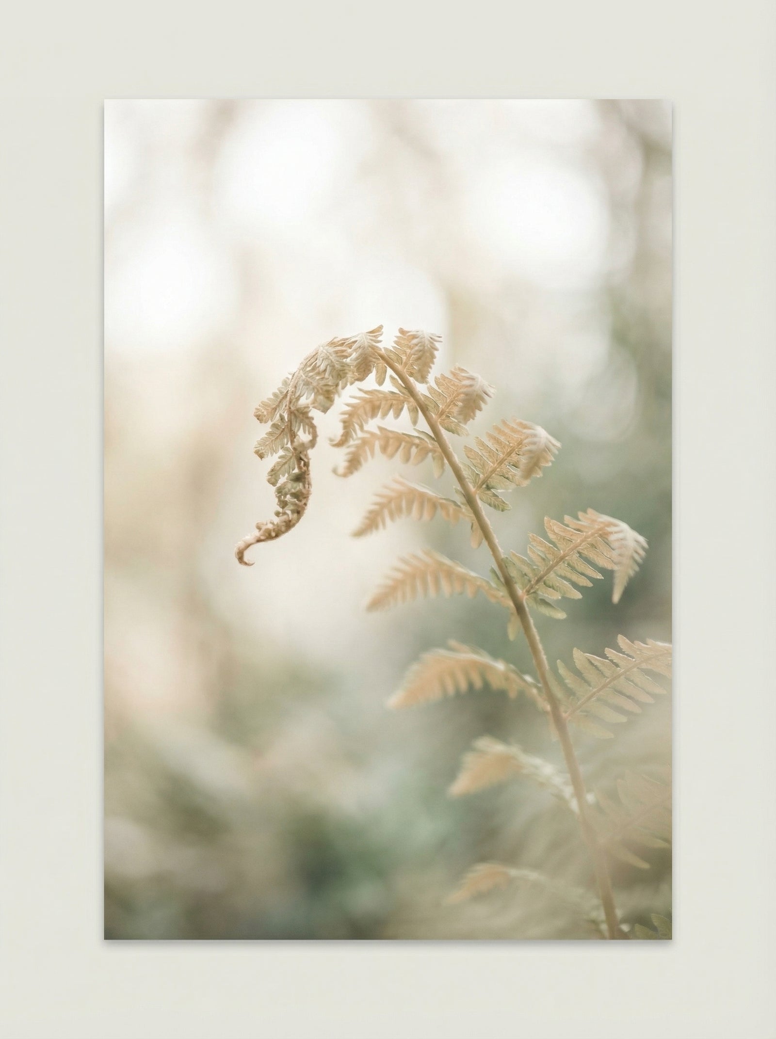 Poster in black frame