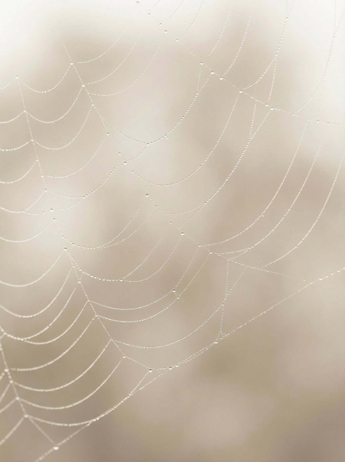 Poster in black frame