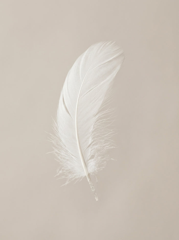 Poster print file