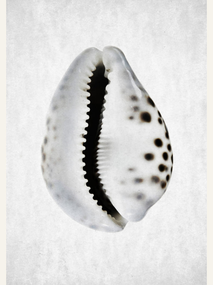 Spring Tide 01 Poster – poster and art print