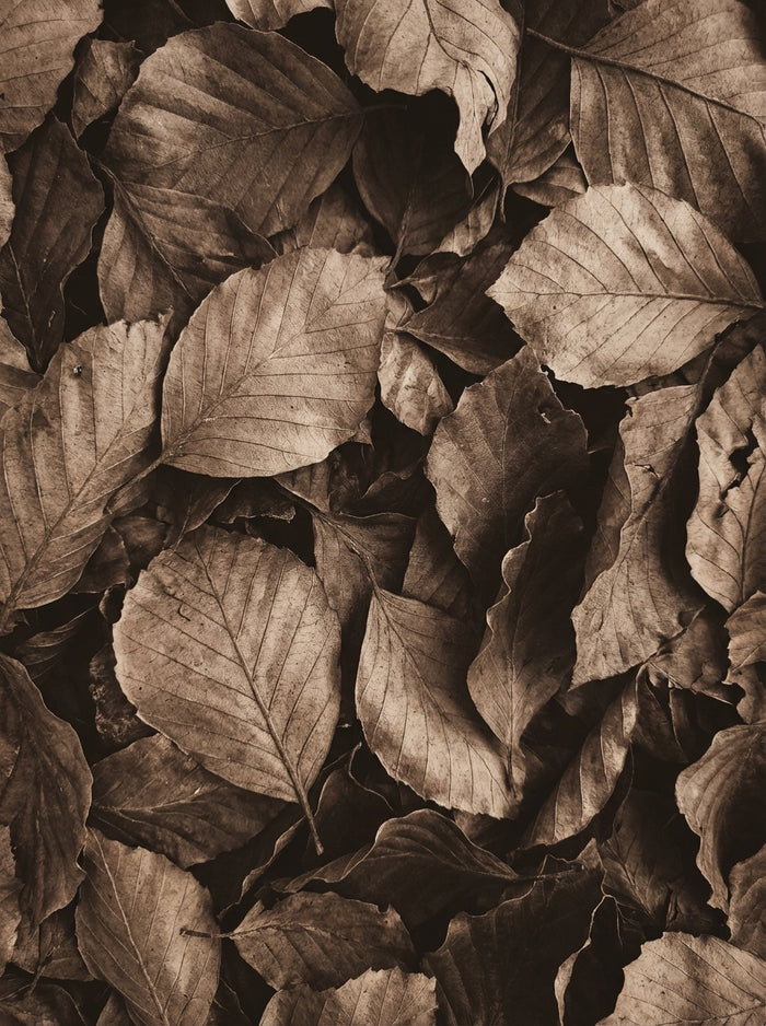 Poster print file