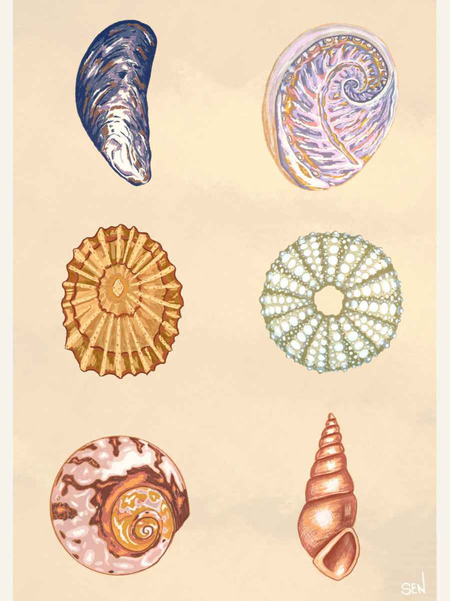 Treasures of the Tide Poster – plakat og kunsttryk
