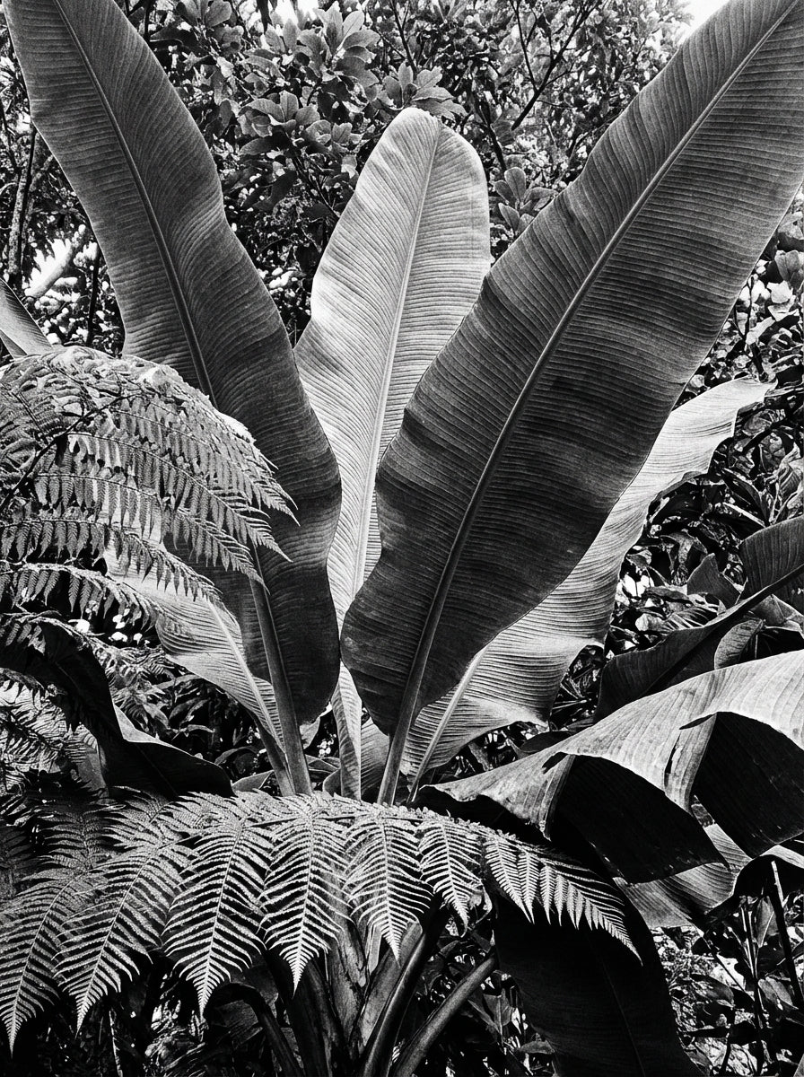 Poster print file