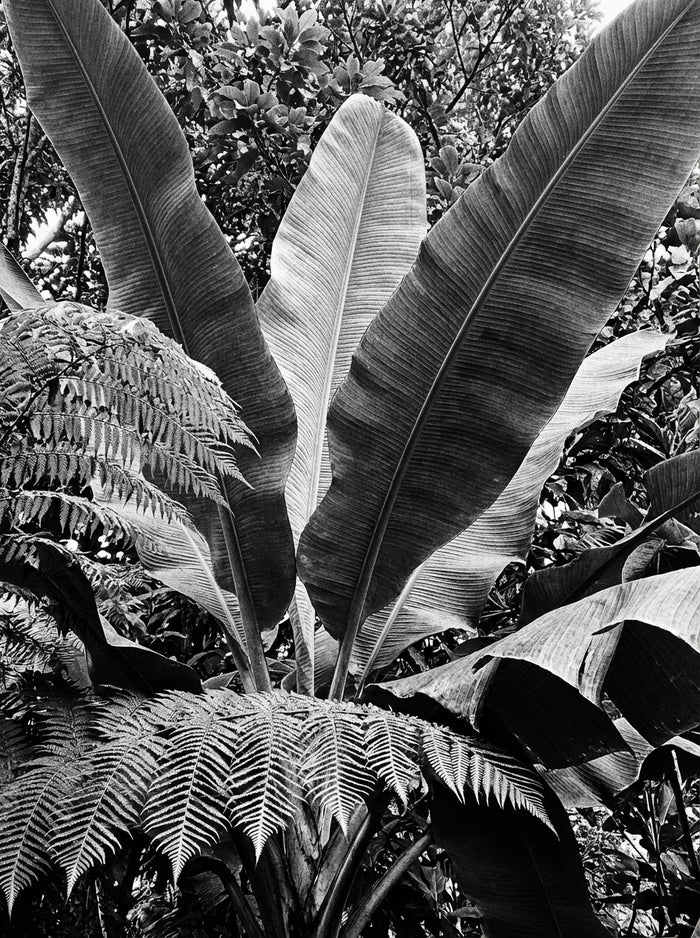 Poster print file