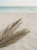 Poster print file