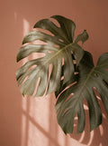 Poster print file