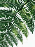 Poster print file