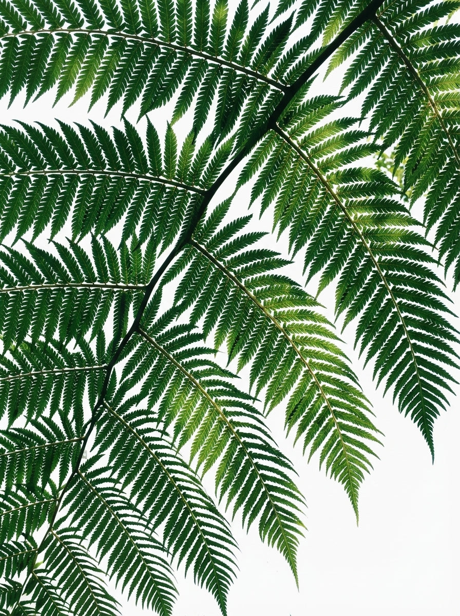 Poster print file