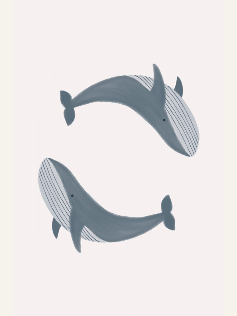 Two Whales Poster – Poster und Kunstdruck