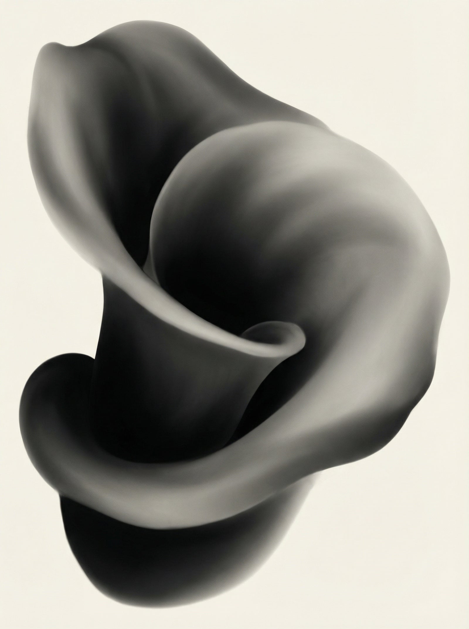 Poster in black frame