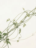 Poster print file