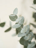 Poster print file