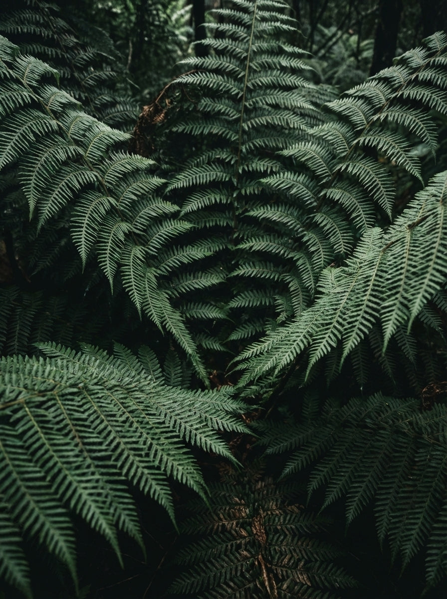 Poster print file