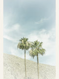 Vintage Palm Trees in the desert Poster – Poster und Kunstdruck