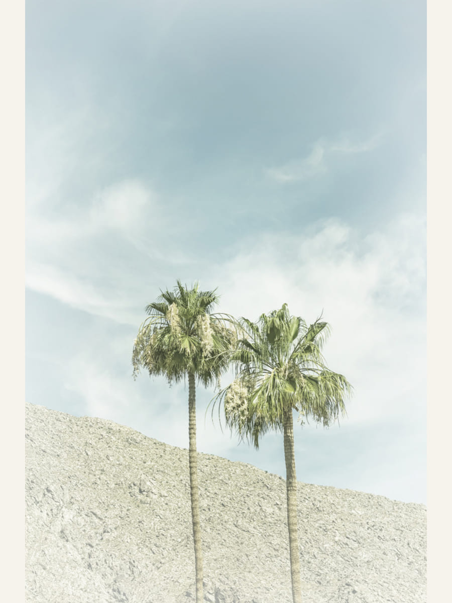 Vintage Palm Trees in the desert Poster – Poster und Kunstdruck
