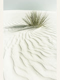 WHITE SANDS Idyllic vintage scenery Poster – poster och konsttryck
