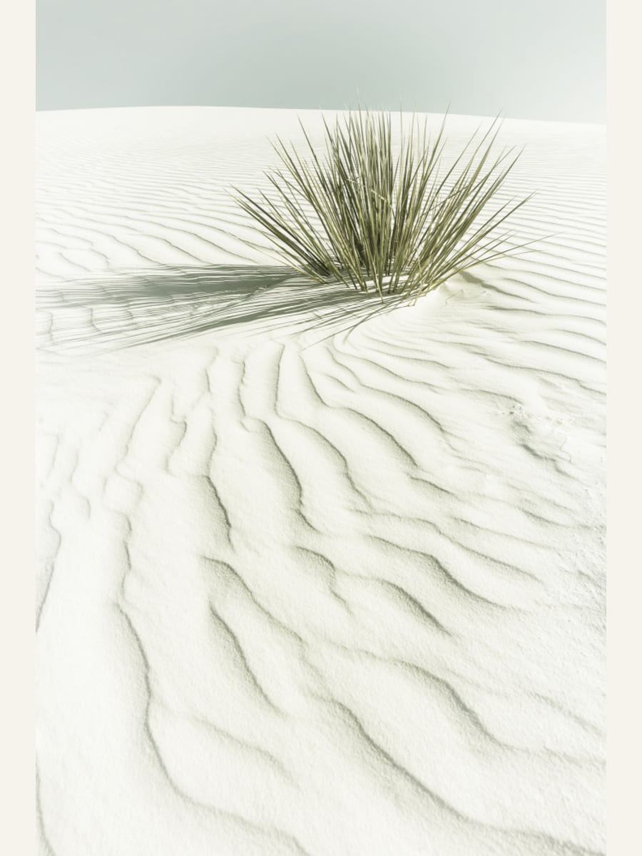 WHITE SANDS Idyllic vintage scenery Poster – poster och konsttryck
