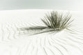 WHITE SANDS Vintage Dune Poster – poster and art print