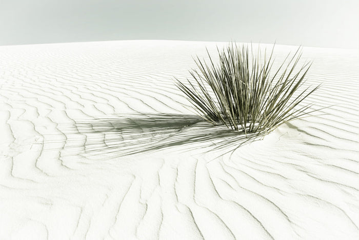 WHITE SANDS Vintage Dune Poster – poster and art print
