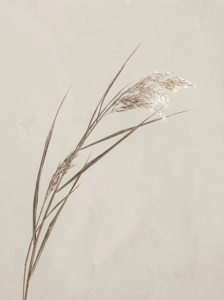 Poster print file