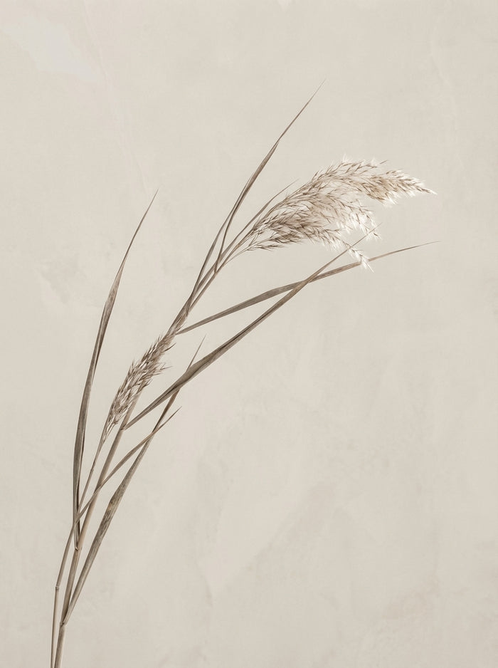 Poster print file