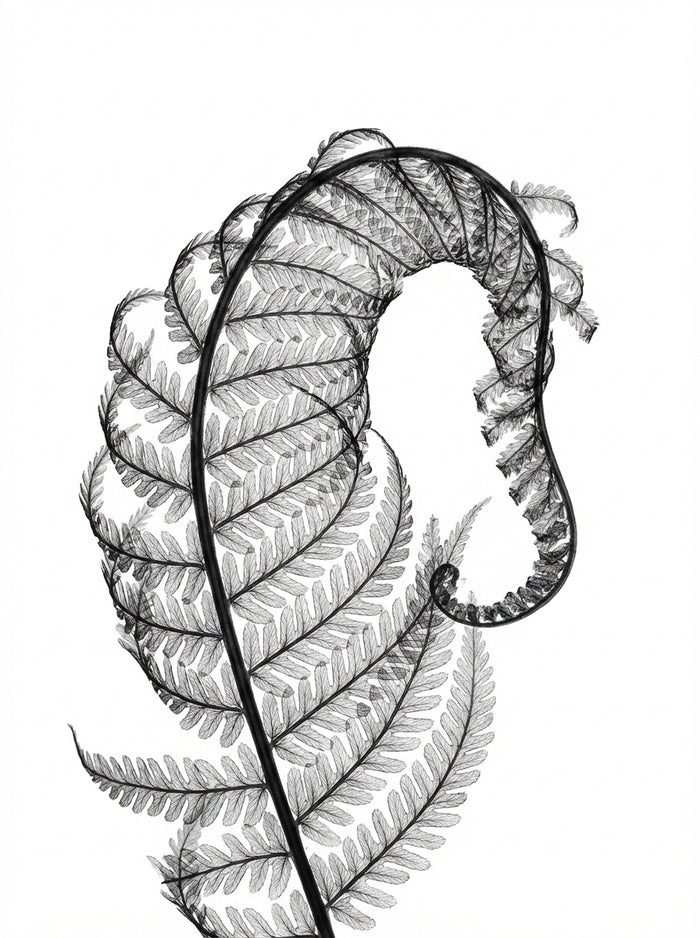 Poster print file