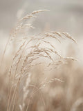 Poster print file