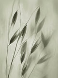 Poster print file
