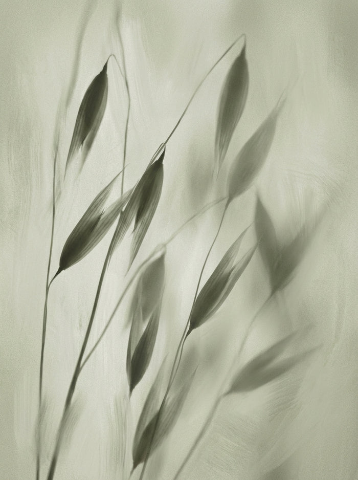 Poster print file