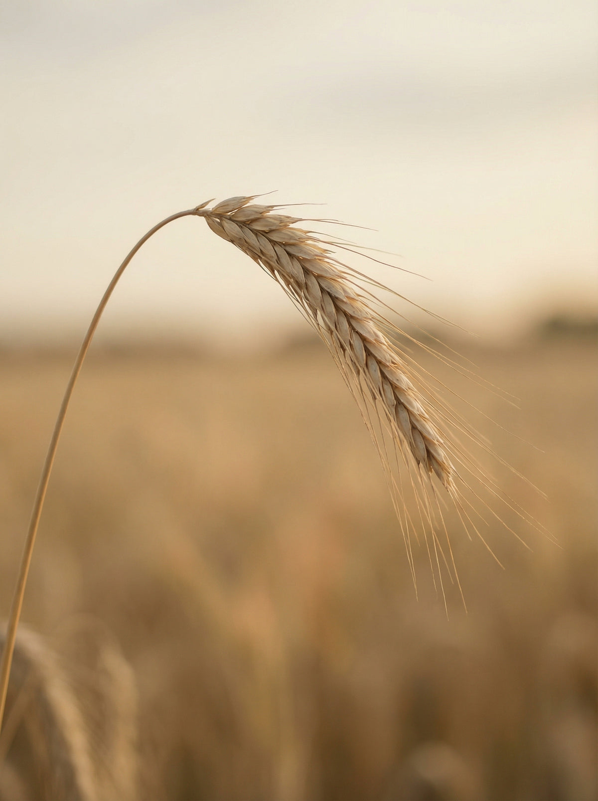 Poster in black frame